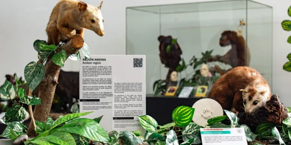 18042024-DSC_0096-Mejorado-NR-scaled_11zon