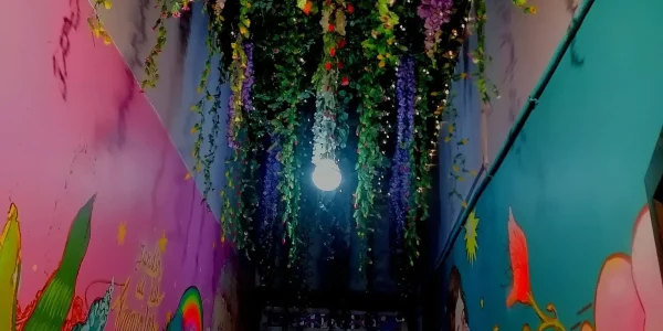 FJWGAXnXwAAR-pX_11zon