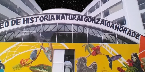 fot_mhn_16_23.jpg_958445136_11zon